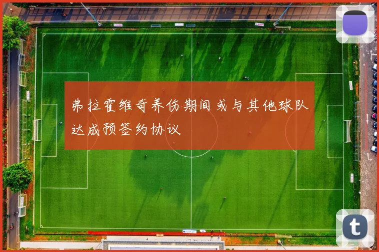 弗拉霍维奇养伤期间或与其他球队达成预签约协议