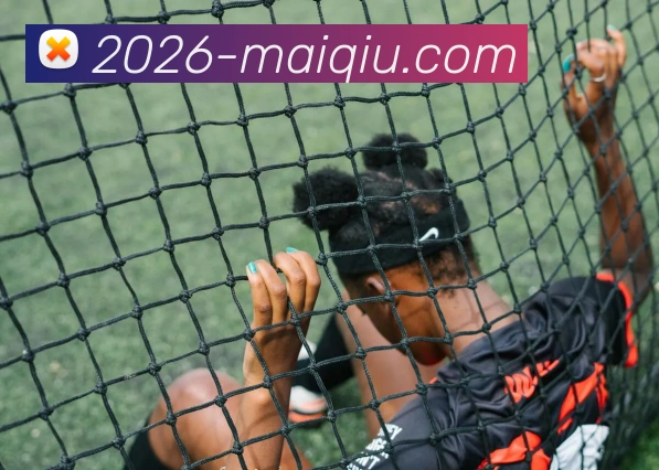 中超买球官网服务体系