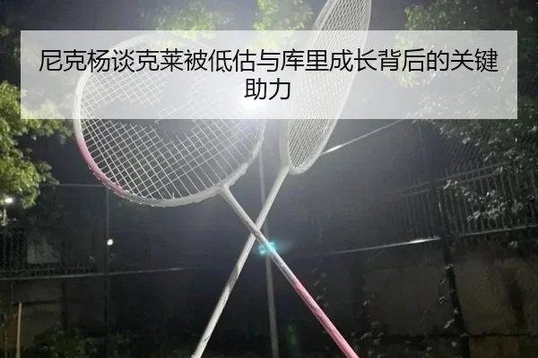 尼克杨谈克莱被低估与库里成长背后的关键助力 | CSLBuyBalls
